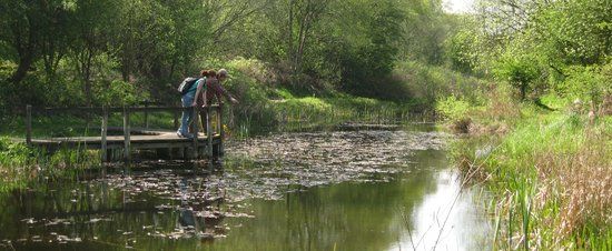 Potteric Carr Nature Reserve